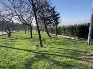 İ̇stanbul’da Film Gibi Cinayet: Otelden Kaçırdıkları Adam Borç Tahsil Edilirken Öldü