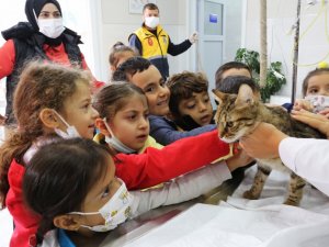 2022 Yılında Bin 672 Kısırlaştırma