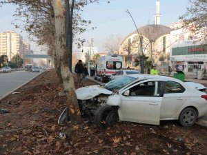Yayalara Çarpmamak İsterken Ağaca Çarptı: 1 Yaralı