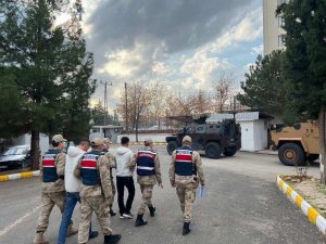 Diyarbakır’da Büyükbaş Hayvan Hırsızları Tutuklandı