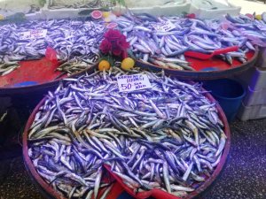 Hamsi Fiyatlarında Yüzde 50’ye Varan Düşüş