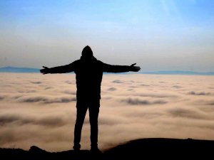 Nadir Görülüyor, Görenleri İse Mest Ediyor