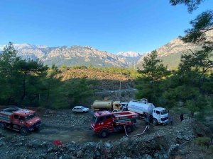 Orman Yangını Büyümden Söndürüldü