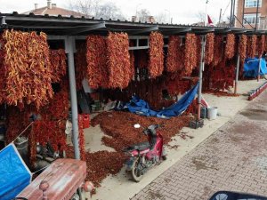Karaağaç Biberi Kurutma Mesaisinde Sona Gelindi