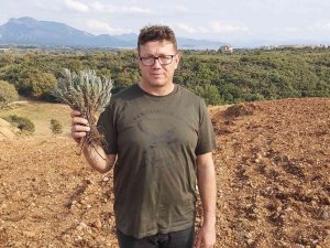 Datçalı Girişimci Devletten Kiraladığı Araziye 15 Bin Adet Lavanta Dikti