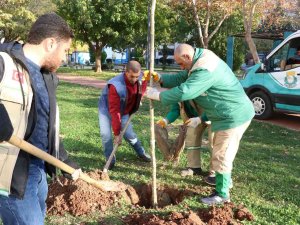 Haliliye’de Peyzaj Çalışmaları İle Parklar Yeşilleniyor