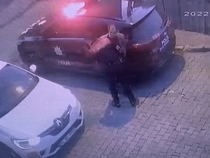 Fatih’te 8 Aylık Süs Köpeğine Bıçak Darbesi