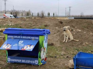 Karaman’da Sokak Hayvanları İçin Beslenme Noktaları Yapılıyor