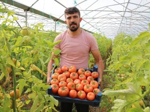 Şehir Hayatını Bırakıp Köyünde Sera Kurdu