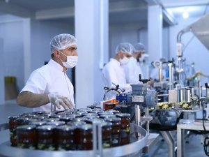 Coğrafi İşaret Alan Bingöl Balı, İhracat Yolunda