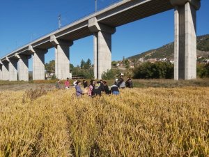 Bşeü Çiftçiler İçin Yeni Bir Proje Yürütüyor