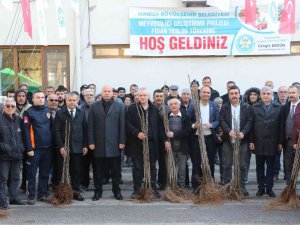 Üreticilerin Meyve Fidanları Manisa Büyükşehir Belediyesinden