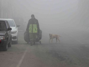 Kırklareli’nde Yoğun Sis Etkili Oluyor