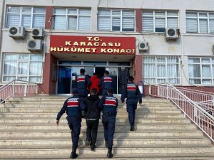 Karacasu’da Zeytin Hırsızları Yakalandı