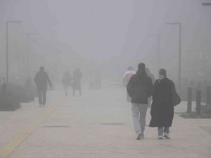 Edirne’de Yoğun Sis Etkili Oluyor
