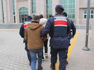 Jandarmadan Uyuşturucu Operasyonu