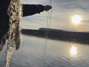 Ağrı’da Aralık Ayında Bahar Havası