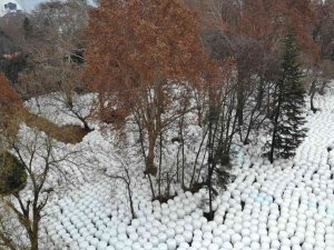 Binlercesi Havadan Görüntülendi, Görenleri Şaşırtan Manzara