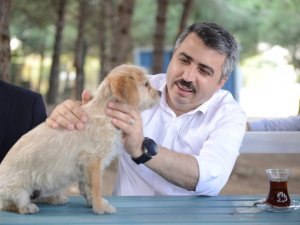 Yıldırım’ın Sessiz Sakinlerine 7-24 Hizmet