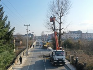 Ağaçlara Kar Yağışı Öncesi Bakım