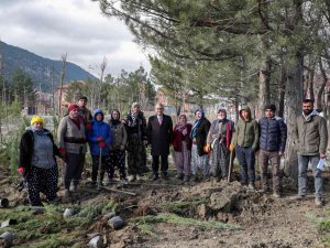 Millet Bahçesi’nde Peyzaj Çalışmaları Başladı