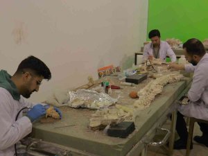 7.5 Milyon Yıllık Kazılarda Hedef Primat Bulmak