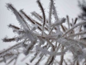 Sivas’ta Kırağı Güzelliği