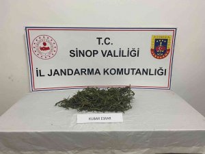 Sinop’ta Jandarmadan Uyuşturucu Operasyonu