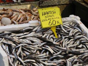 Balık Fiyatları Geriledi, Hamsinin Fiyatı 110 Tl’den 60 Tl’ye Düştü