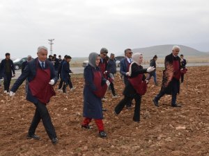 Malatya’da Öğrenciler Buğday Ekimi Yaptı