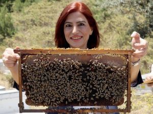 Bu Bölüme Gelen Her Öğrenciye Bir Arı Kolonisi Veriliyor