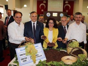 Yılın İlk Kuru Üzümü Borsada