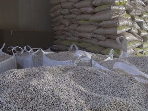 Ahlat’tan Kuru Fasulye İhracatı
