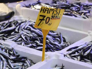 Hamsi Büyüdü, Fiyatı 70 Tl Oldu