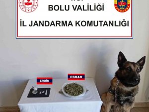 Bolu’da Yolcu Otobüsünde 3 Kişinin Valizinden Uyuşturucu Çıktı