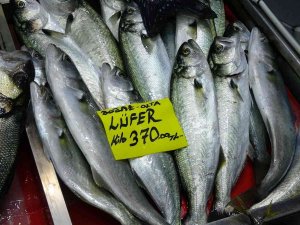 Havalar Geç Soğudu, Az Çıkan Lüfer Ve Çinekopun Fiyatı Arttı