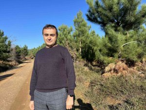 ‘‘Endüstriyel Plantasyonlar, Doğal Ormanların Korunmasına Çare Oluyor’’