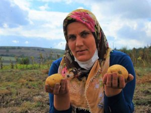 Samsun’da 2022 Yılında Tarıma 9 Milyon Lira Destek