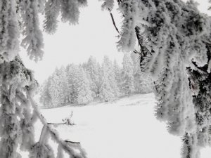 Abant Tabiat Parkı’nda Kar Yağışı Başladı