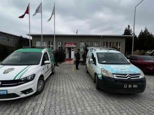 Bacağı Kırık Tay, Tedavi Altına Alındı