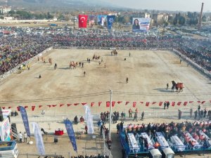 Aydın’da 160 Deve Kıran Kırana Güreşti