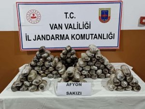 Van’da 47 Kilo Afyon Sakızı Ele Geçirildi