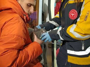 Dumanlar Arasında Kalan Kedi, Polis Ekiplerince Kurtarıldı