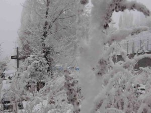 Ardahan Eksi 16,7: Sibirya Soğukları Hayatı Olumsuz Etkiliyor