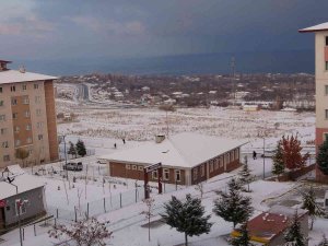 Van Kar Yağışıyla Beyaza Büründü