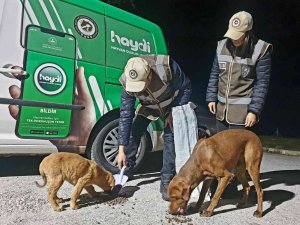 Uşak Polisi Sokak Hayvanlarını Unutmadı