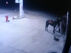 Diyarbakır’da Akaryakıt İstasyonunda Atlı Hırsızlık