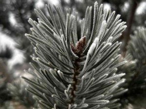 Erzurum Buz Kesti, Hava Sıcaklığı Eksi 7’ye Düştü