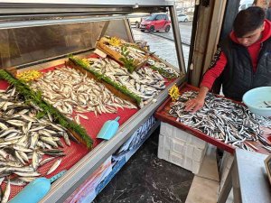 Tezgahlar Hamsi İle Şenlendi