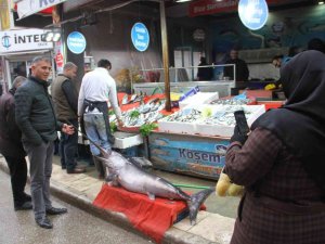 2 Metrelik Kılıç Balığı İlgi Odağı Oldu